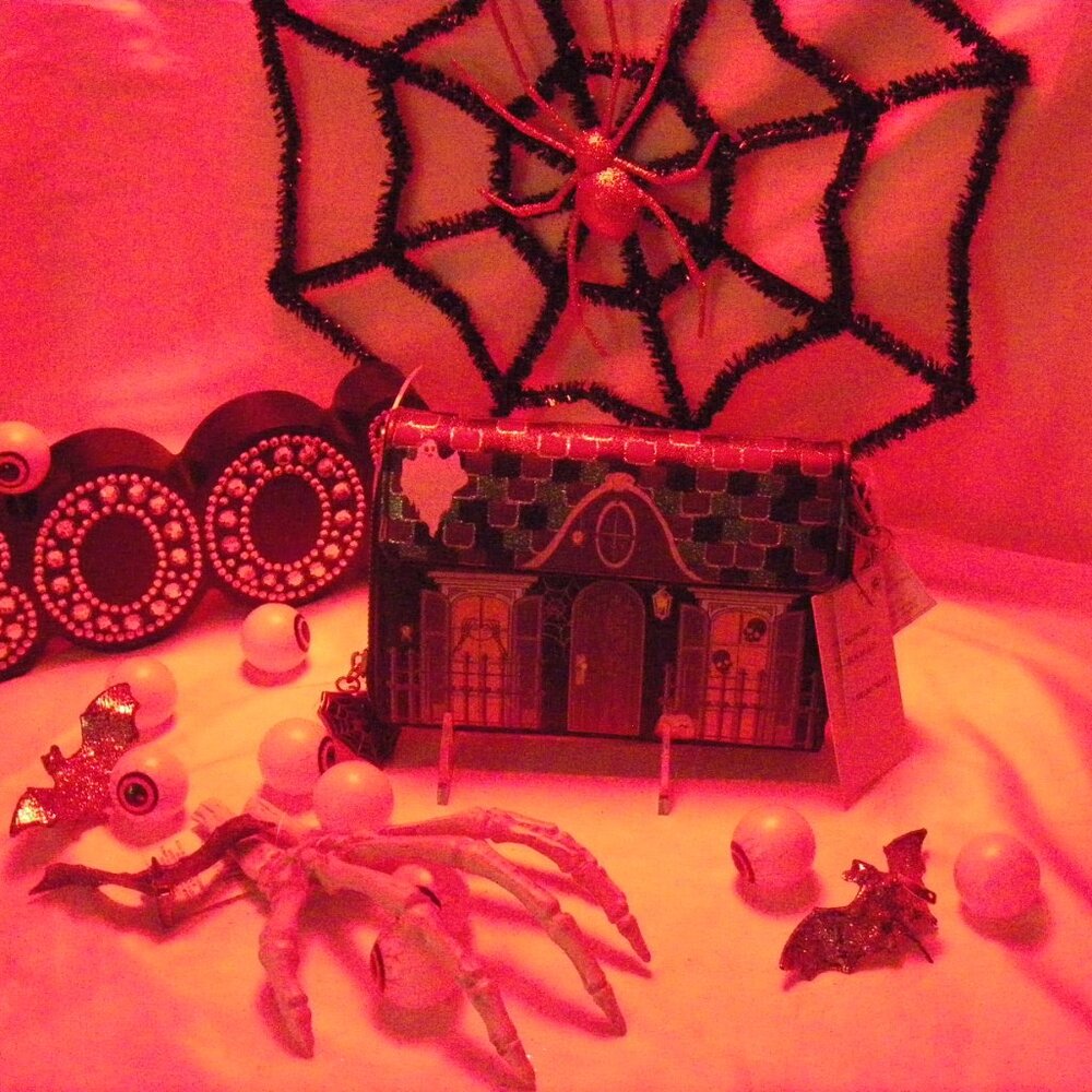Betsey Johnson Forever Home Wallet On Chain Crossbody Bag Halloween WOC NWT - Picture 11 of 14